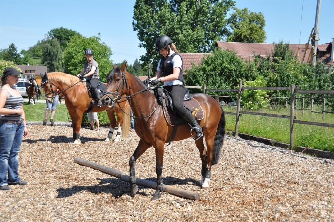 DSC_0465 - HOMEPAGE.JPG